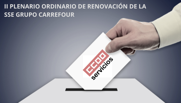 renovación sección sindical estatal de CCOO Carrefour