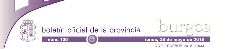 Boletin oficial provincia de Burgos. Publicacion Convenios Colectivos