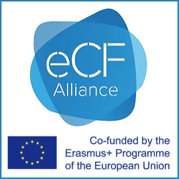 ECF COmpetencia TIC