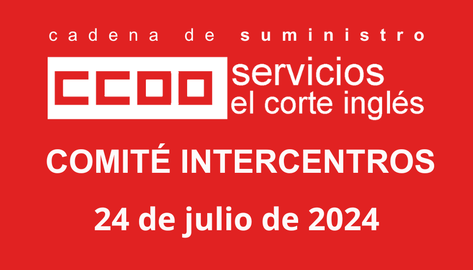 CCOO ECICS COMITÉ INTERCENTROS REUNIÓN 24/7/2024 RESPUESTAS EMPRESA PROPUESTAS DE CCOO