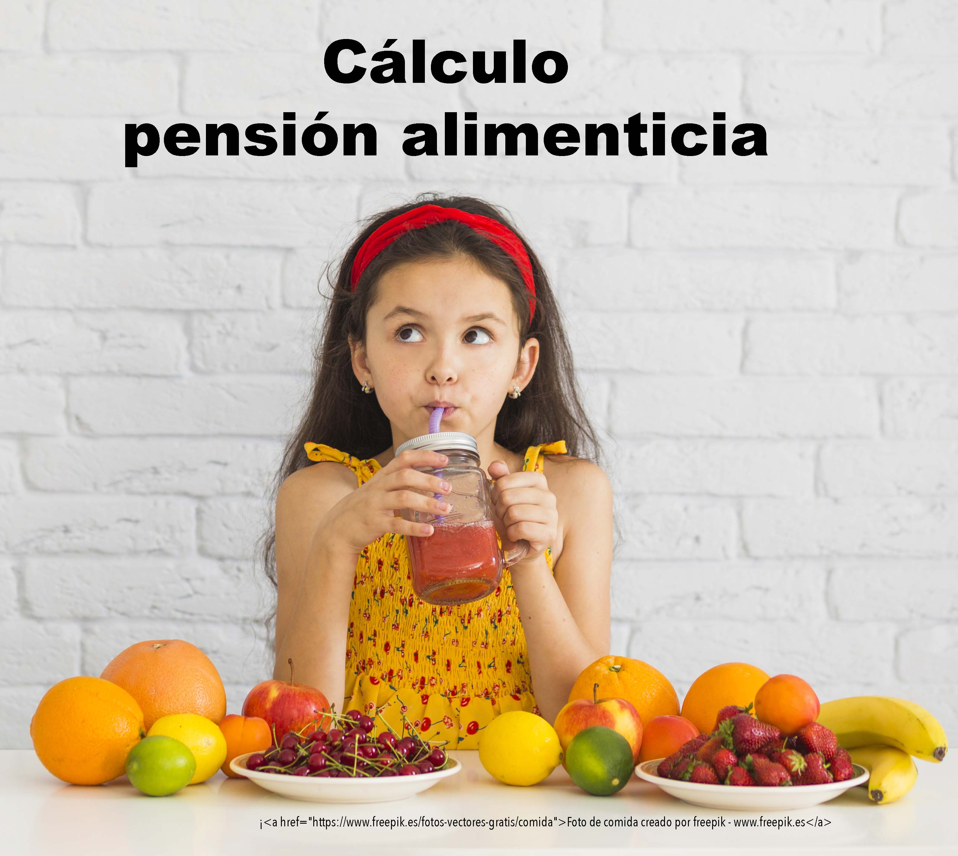 PENSION DE ALIMENTOS