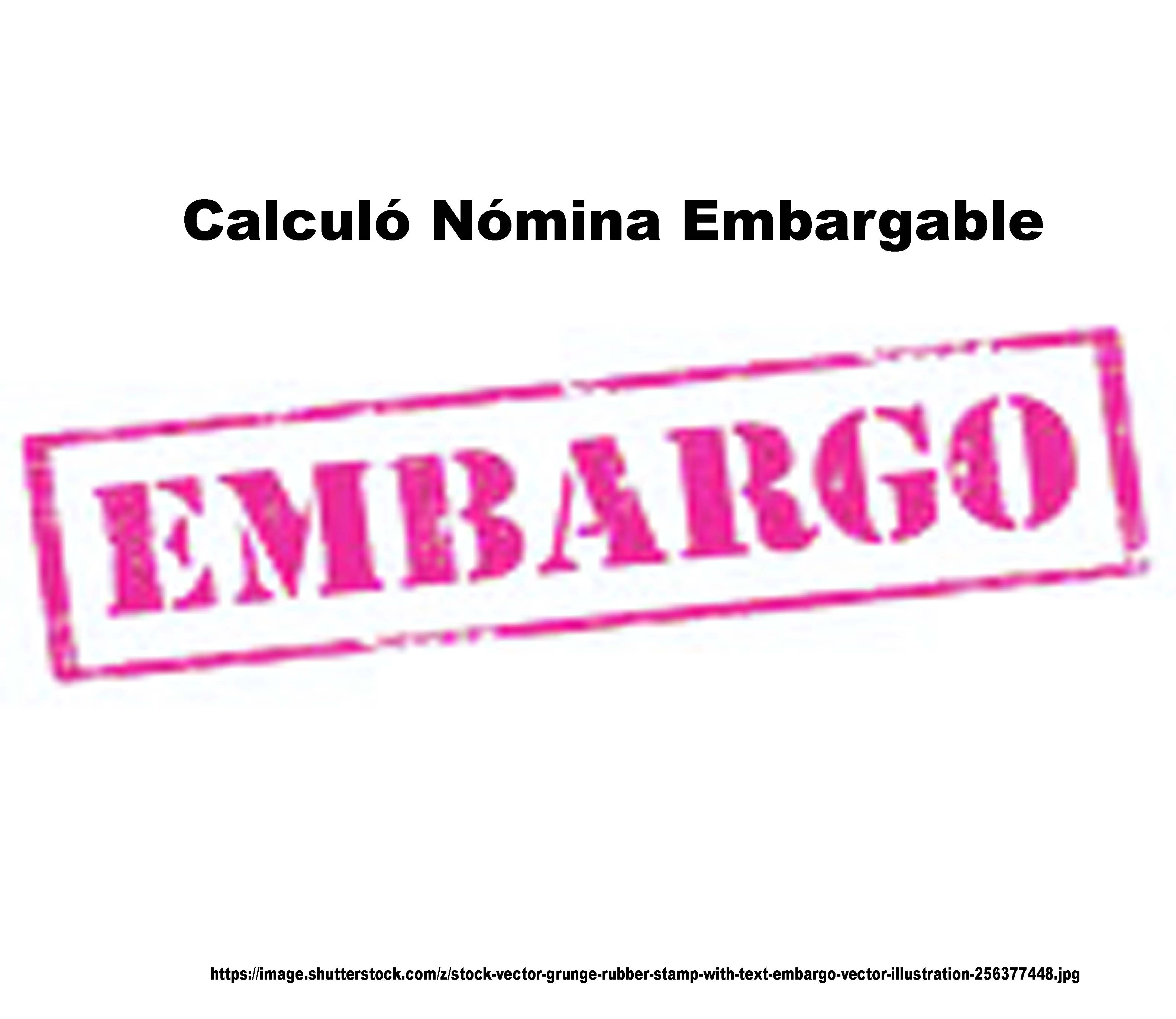 NOMINA EMBARGABLE