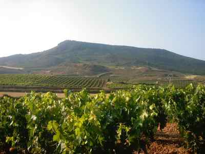 Turismo en La Rioja Informe