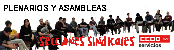 Banner web secciones sindicales CCOO Madrid