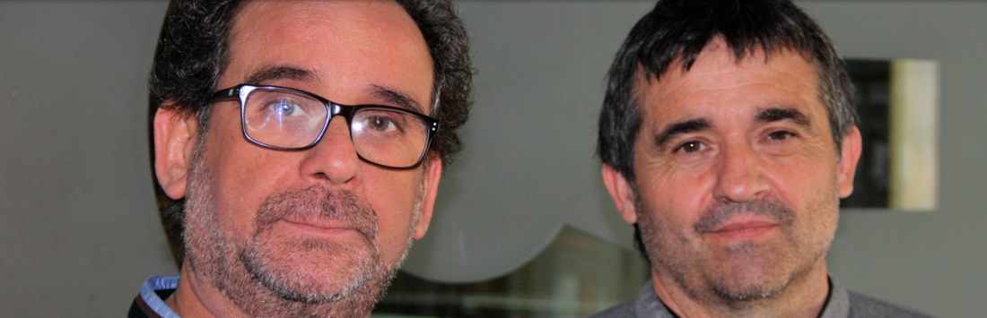 Vicente López y Pedro J. Linares